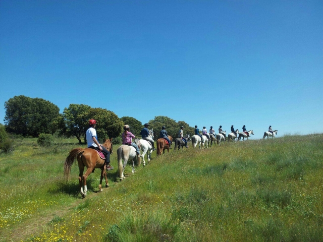Subiendo a caballo por el sendero
